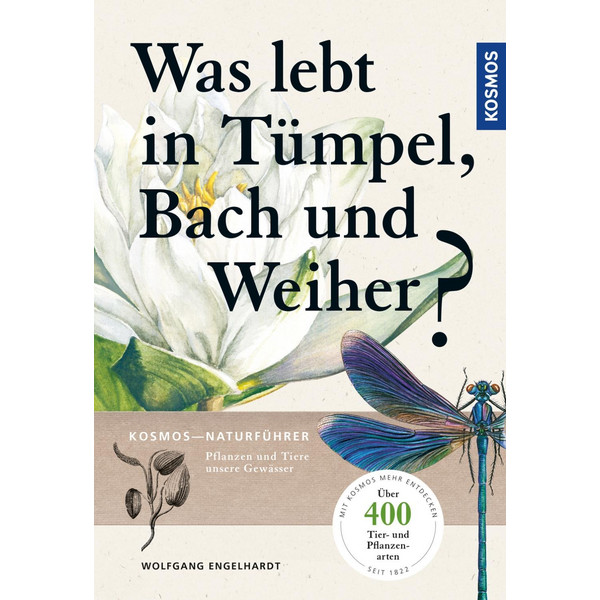  Was lebt in Tümpel, Bach und Weiher? - Ratgeber
