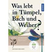  Was lebt in Tümpel, Bach und Weiher?  - Ratgeber