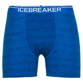 Icebreaker MEN ANATOMICA BOXERS Herren - Funktionsunterwäsche