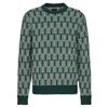 Patagonia RECYCLED WOOL SWEATER Herren Wollpullover PINE KNIT: NORTHERN GREEN - PINE KNIT: NORTHERN GREEN
