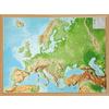  RELIEF EUROPA 1:8.000.000 MIT NATURHOLZRAHMEN - Karte - georelief Vertriebs GbR