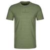 Smartwool SMARTWOOL LOGO GRAPHIC SHORT SLEEVE TEE SLIM FIT Unisex T-Shirt FERN GREEN - FERN GREEN